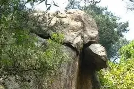 商周燕语城、明清古驿站、千年流苏树…泰安这个“宝藏”乡你知道吗？图片