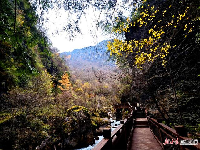秋染官鹅沟 醉在山水间