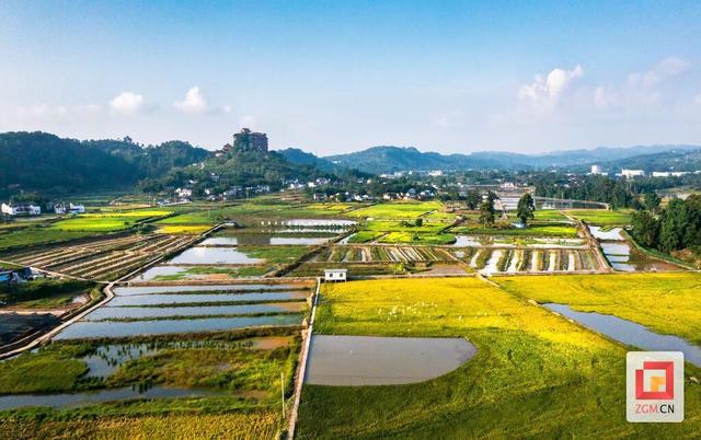 长山镇：打造川南田园栖居 绘就文旅融合图景