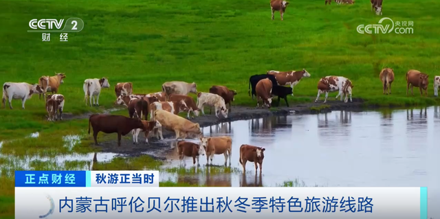 各地特色“文旅大餐”激发出游热潮 持续释放文旅消费蓬勃活力