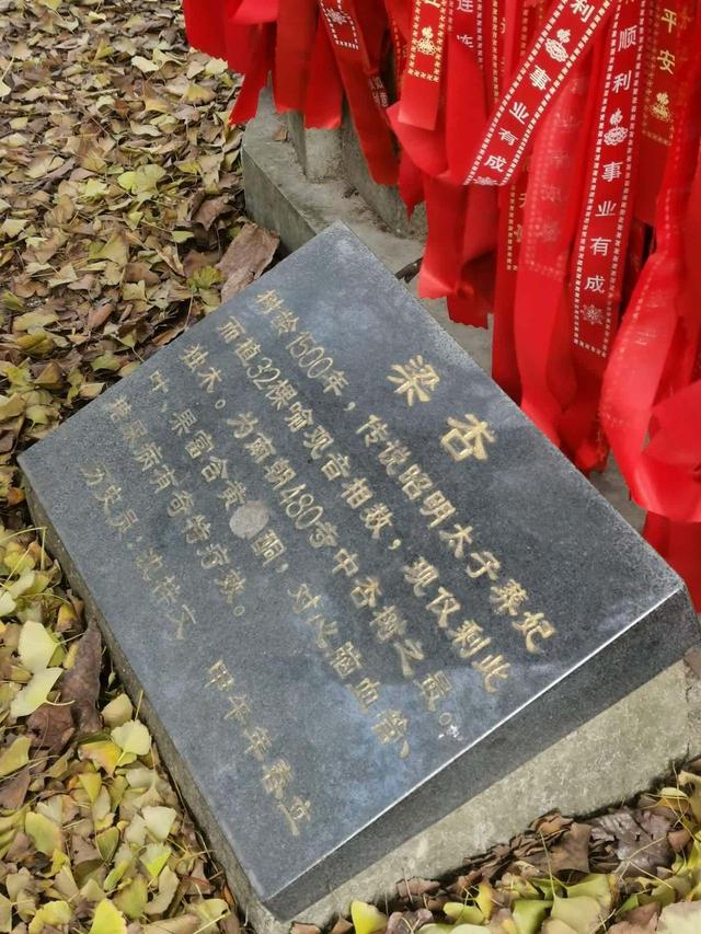 晚潮｜探秘湖州南宋古道：穿越千年与历史对话