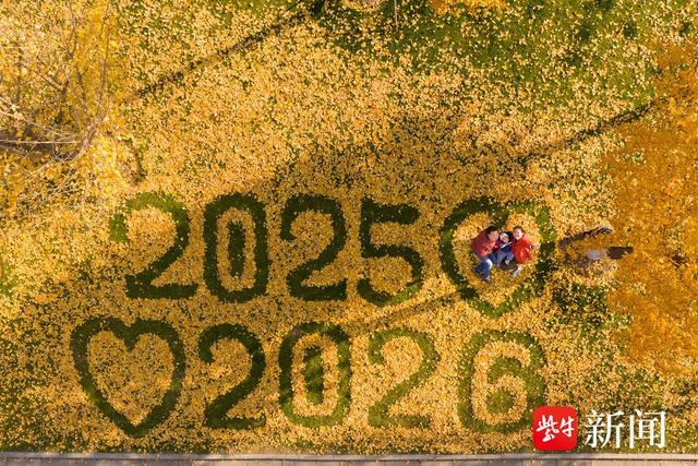 南京城墙下的银杏叶被拼成“2025爱2026” 成网红景点引市民游客排队打卡