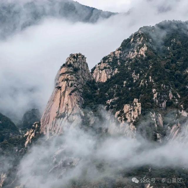 泰山雨霁：云雾织仙境，霞光染群峰，这泼墨山水里藏着夏日最治愈的奔赴
