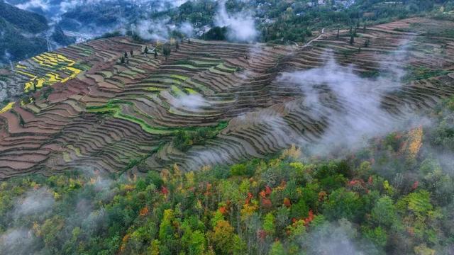 酉阳初冬美景合集：邂逅山间调色盘，每一帧都是壁纸！