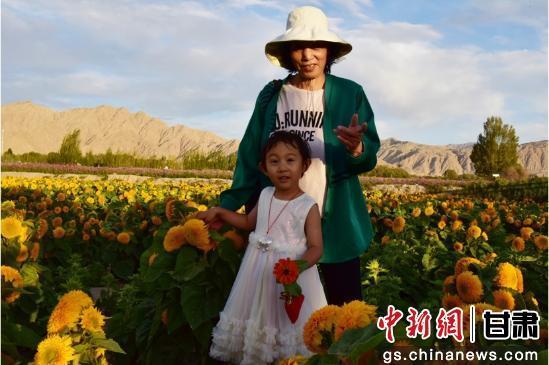 看，这里是肃北 ｜ 在七彩花田赴一场浪漫花约