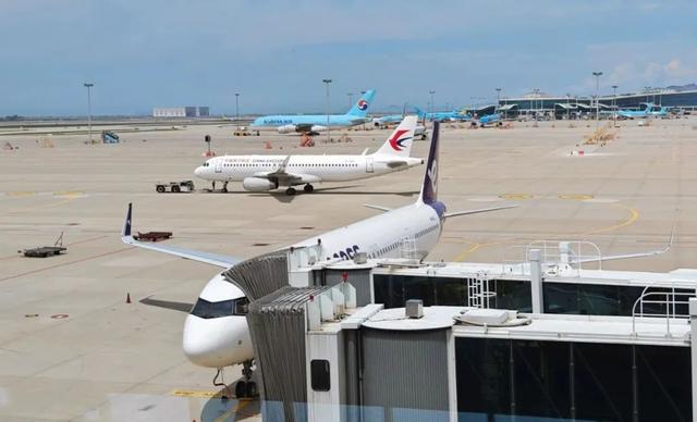 低成本航空大揭秘：行李政策、票价对比与出行技巧全攻略