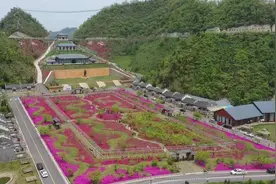 保康：推进矿山修复 重塑绿水青山图片