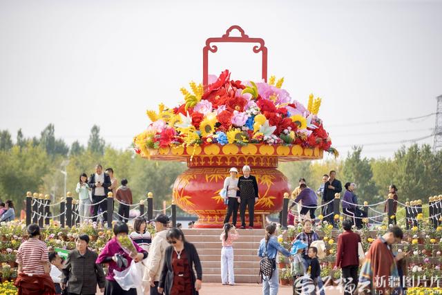 新疆农业博览园72万株秋菊盛放 花期将持续至10月中旬