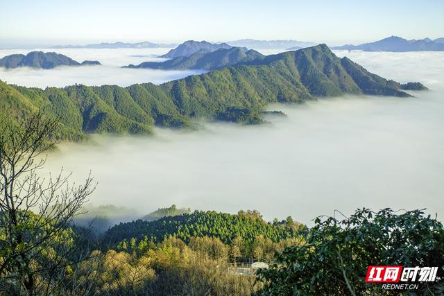 普查手记丨古丈：探寻自然奇景，沉醉人文风情