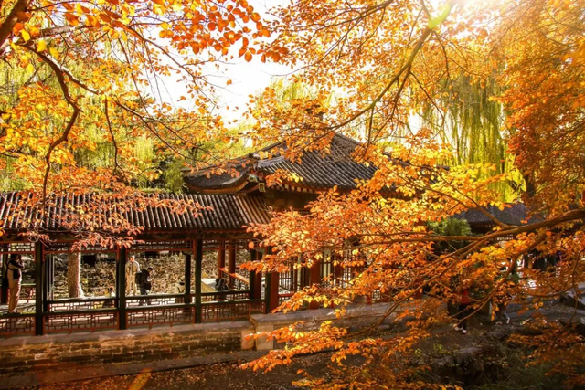 颐和园的秋天太美了