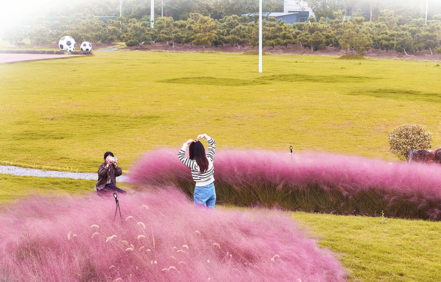 武进绝美打卡地！在嘉泽、湖塘、雪堰、前黄……