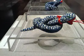 千年非遗胜于蓝！快来泉州海交馆看滨州与泉州蓝印花布联展图片