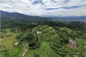 分山到户单家独户？现在湖南要适度规模经营！图片