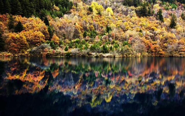 从“单点观光”到“全域体验”！看九寨沟背后的阿坝文旅升级之路 | 行走的发布会