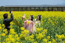 直冲34℃！然后，“倒春寒”？南平接下来的天气太刺激……图片