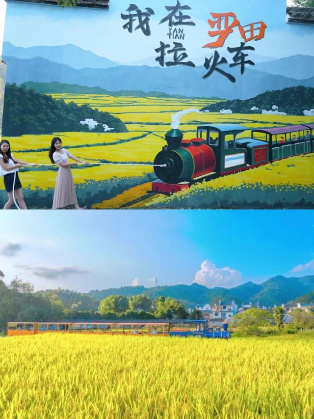 国庆出游 | 婺源秋色独享攻略：如何避开人潮，拍出包场感大片？