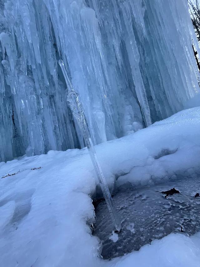免费申领！白云山冰雪仙境邀您花式玩儿雪！