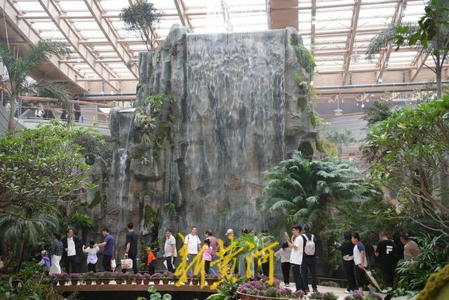 雨天难挡鹊山生态文化区游园情，游客尽享“鹊华烟雨”诗意