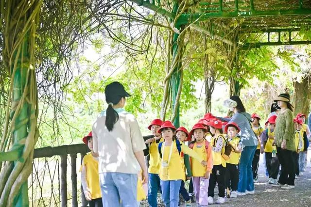 上海工会会员服务日来啦！第一波上线：光明田原与瑞华果园最佳草莓采摘季！免门票、85折！