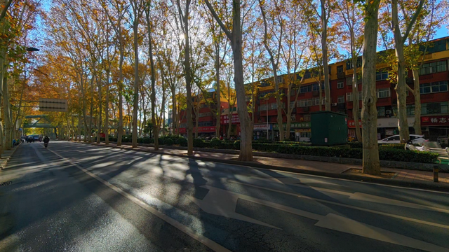 快出门！这些全是洛阳冬日限定！