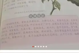 在拼多多买《民法典》的100万+人图片