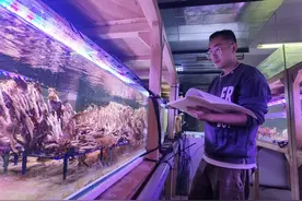 高原上造“海”、可可西里拍纪录片、巴厘岛海底种珊瑚……这位科学家的经历像一部小说图片