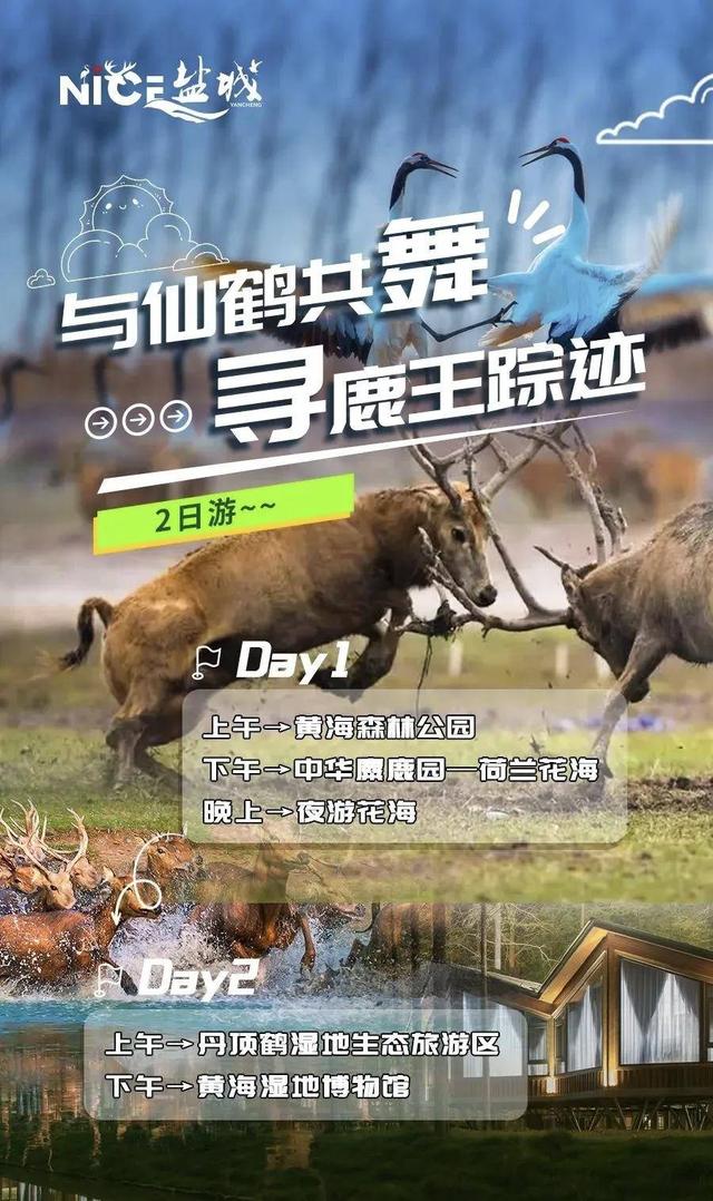 苏超场外遇见湿地天堂！盐城推出2天1夜苏超看球文旅线路