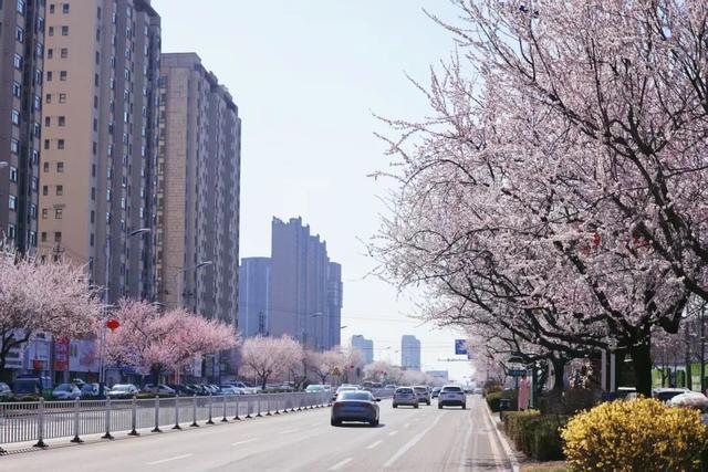 “动”“静”两相宜～颜值天花板～