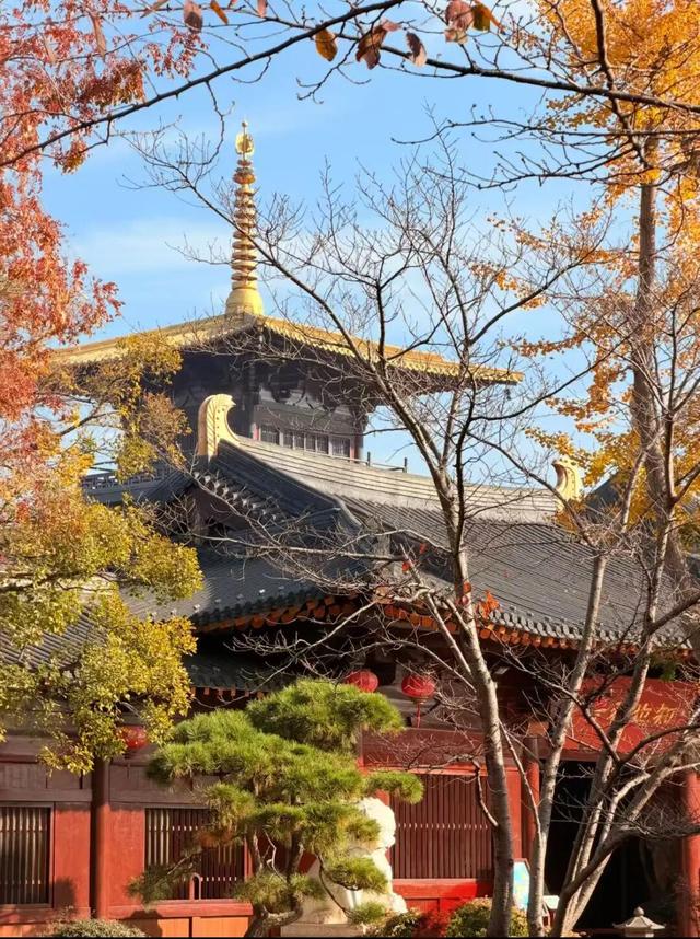 松江秋景开挂！5个宝藏地的红黄皮肤，限时上线！