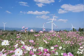 中广核在滇绘制清洁能源高质量发展新图景图片