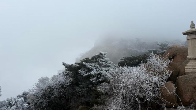 雾凇漫岭 鲁山今冬首场雾凇奇观登场