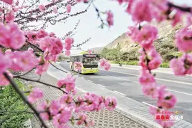 视界丨花漾山河间 满城尽芳菲图片