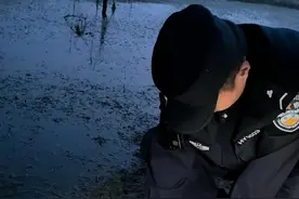 市民河边遛弯发现一只受伤的鸟，民警救助发现是国家二级保护动物图片
