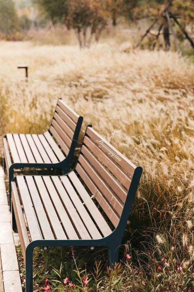 副中心的秋日画板已备好，等你来上色！