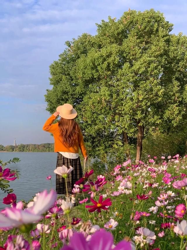 原来冬日里的江西，也会“花开成海”！