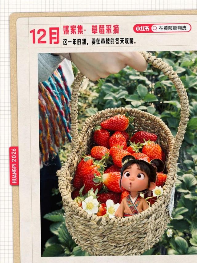 2026年武汉黄陂旅游月历，收藏能用一整年！