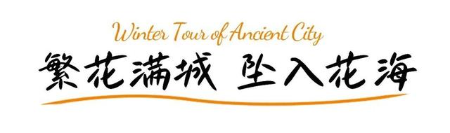 巨划算！冬游台儿庄古城，这份“买一送一”的跨年旅行攻略请收好