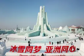 ​亚冬会知多少｜口号、会徽、火炬、吉祥物，关于哈尔滨亚冬会你了解多少？图片