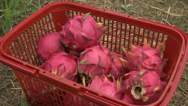 现在开抢！相约“祁遇季”，过有滋味的秋天