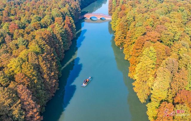 湿地公园 冬景如画