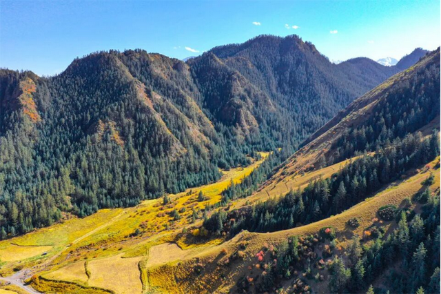 甘肃张掖：秋日祁连山风景如画 雪山金草绘就壮美诗篇