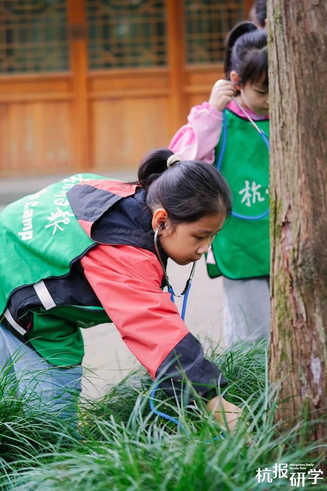 12.07 独立营｜冬日寻羽记：解码西湖候鸟的越冬密码！鸟类专家带队，探秘茅家埠“鸟类天堂”，体验听声辨鸟、飞羽寻踪的野趣周末！