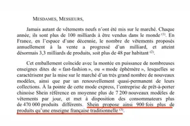 “希音们”出海迅猛，欧洲打起了什么算盘？｜跨境电商合规大考图片
