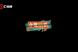 小铭切瓜丨成都女童被狗咬伤，该谁来承担责任？要承担怎样的法律责任？图片