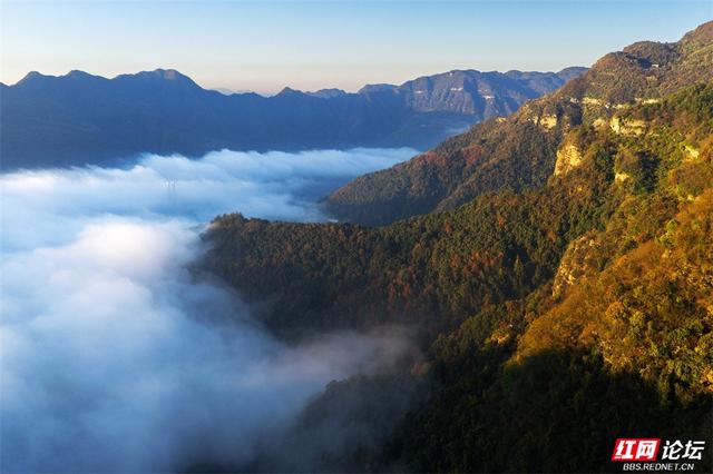 岁暖时刻丨张家界垭门关：云海翻涌时，哪座山的景色最让你心动？