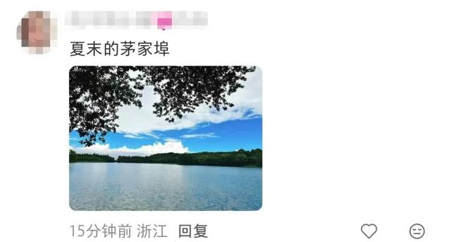 知名男星发视频狂推杭州“小众景点”！网友直呼：这里特别美！