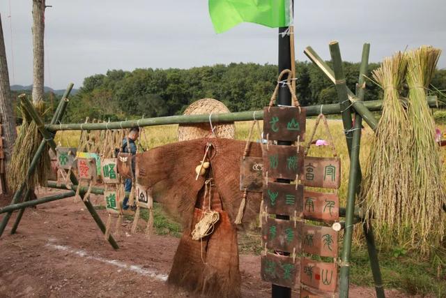 多图+视频！一起回看2025年白沙“啦奥门”雨林与您山兰文化活动精彩瞬间