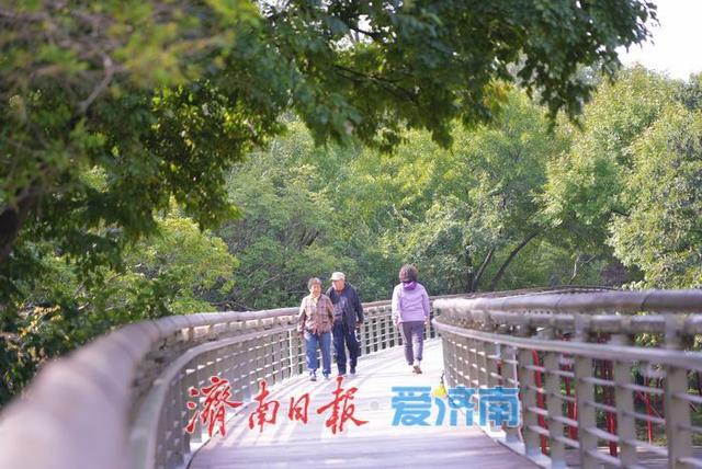 一年四季 泉在济南丨泉城公园秋景如画 晴日漫步赏秋享惬意