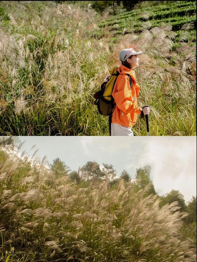 重阳登高赏秋！宁德这6座山千万别错过