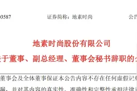 地素时尚高管辞职，职业经理人适应不来家族企业？图片